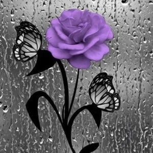 Meet your Posher, Tisha